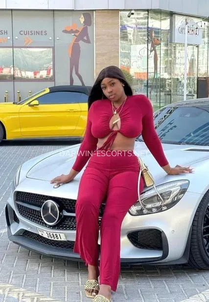 Darwin escorts Adela — 8