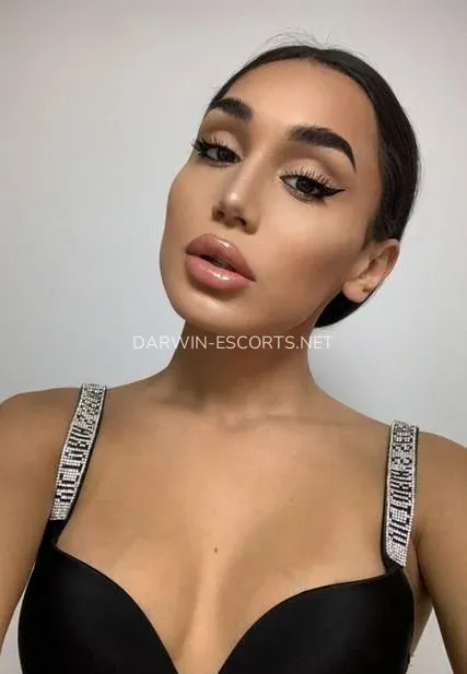 Darwin escorts Ida — 3