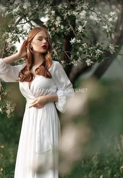 Darwin escorts Addison — 1