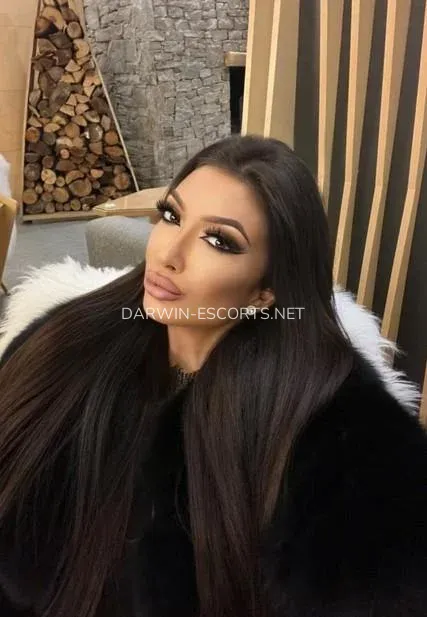 Darwin escorts Ann — 4
