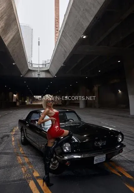 Darwin escorts Ellinor — 1
