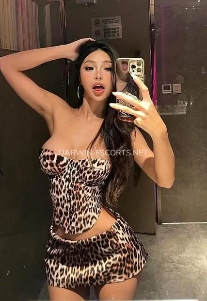 Darwin escorts Heaven — 2