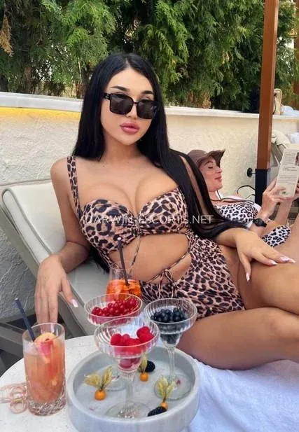 Darwin escorts Lisa — 8